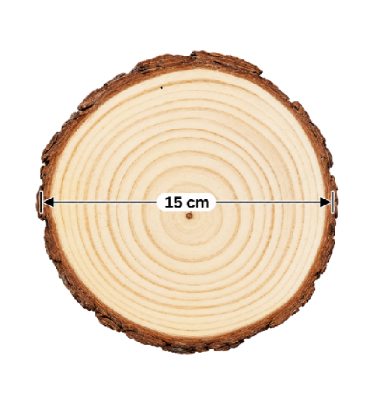 Natural Wooden Slice with Bark Edge – 15 cm