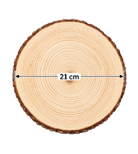 Natural Wooden Slice with Bark Edge – 21 cm