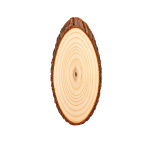Natural Wood Slices – Oval Shapes & Coasters